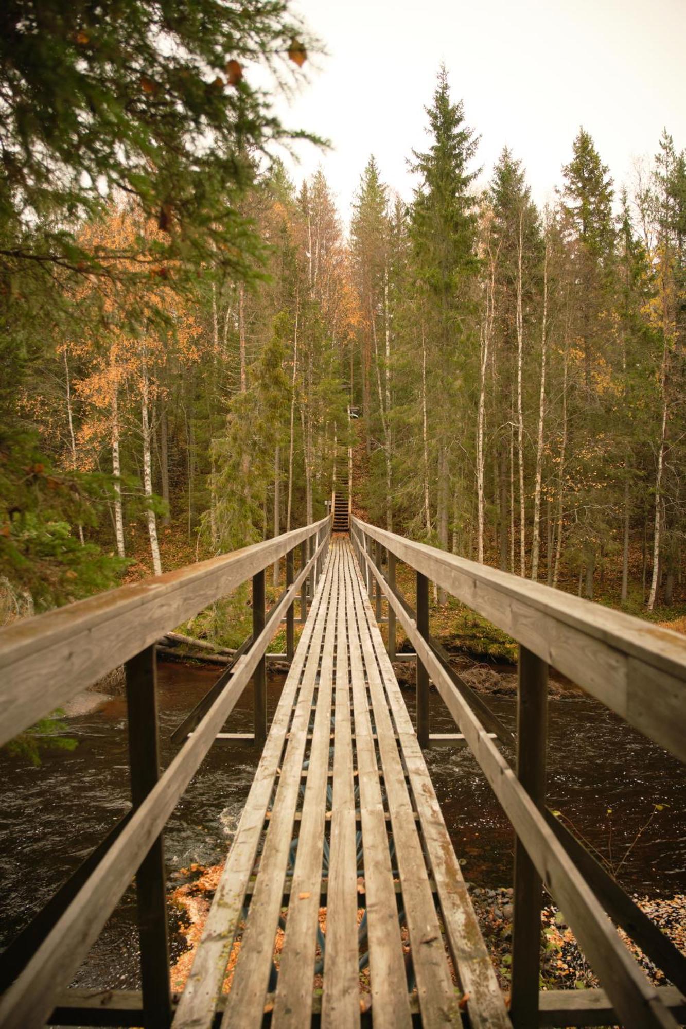 Langforsen Glamping & Lapland Experience Otel Lapptrask Dış mekan fotoğraf