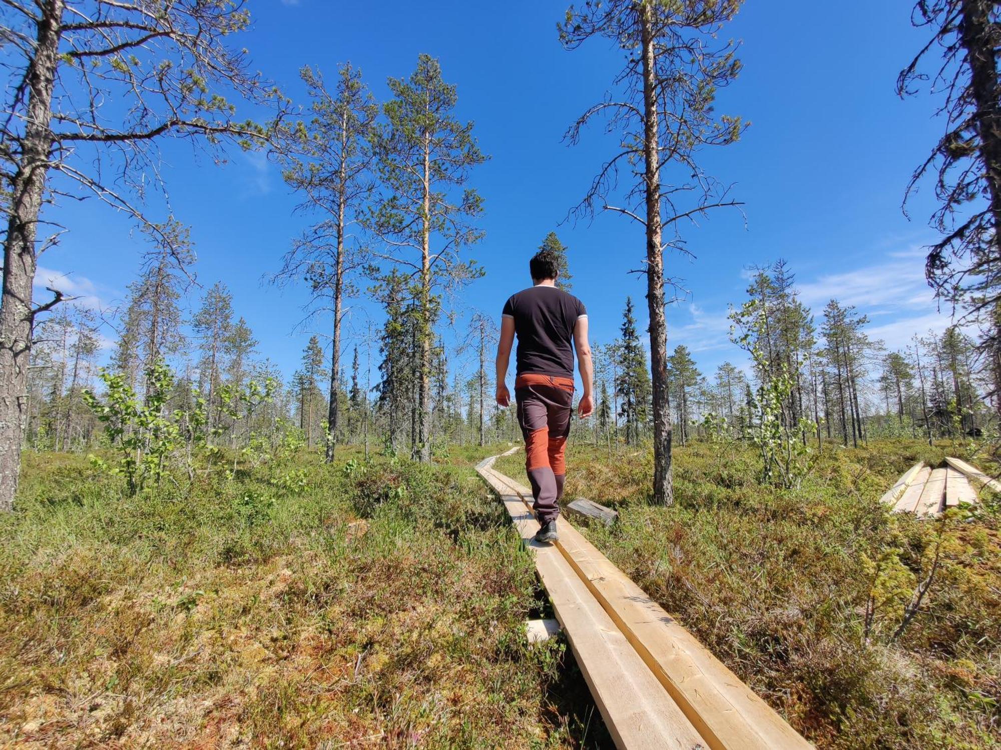 Langforsen Glamping & Lapland Experience Otel Lapptrask Dış mekan fotoğraf
