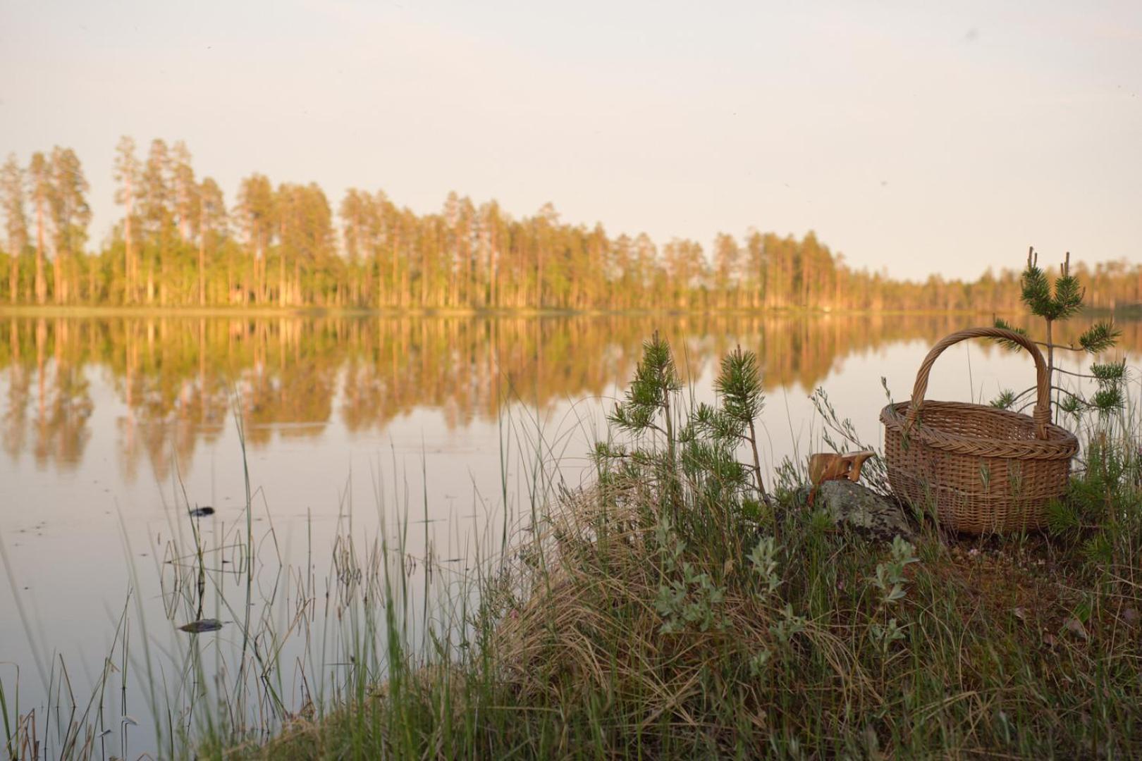 Langforsen Glamping & Lapland Experience Otel Lapptrask Dış mekan fotoğraf