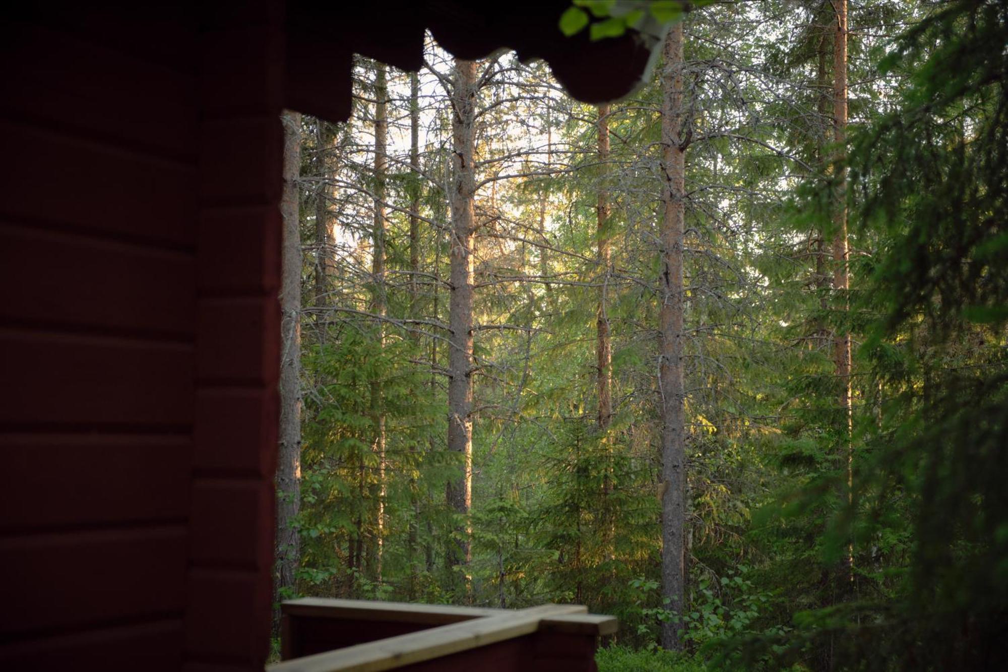 Langforsen Glamping & Lapland Experience Otel Lapptrask Dış mekan fotoğraf